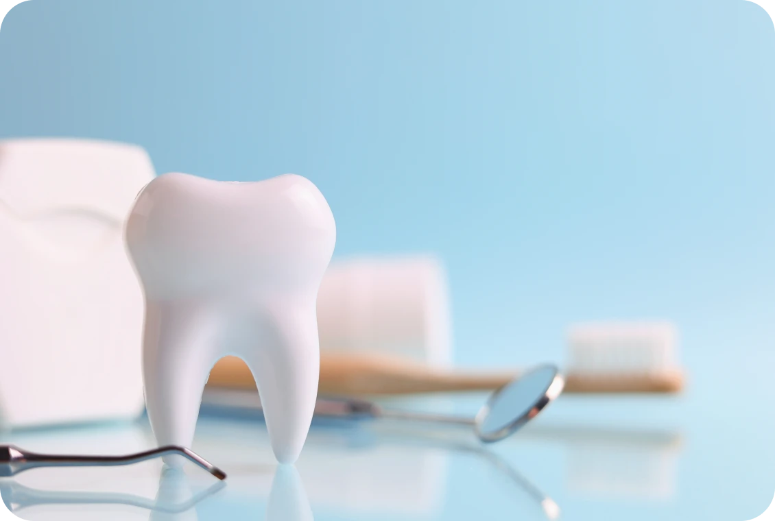 Dental tools with tooth model